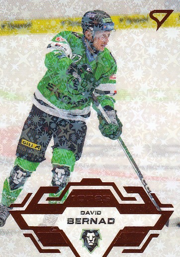 BERNAD David SPORTZOO 2023/2024 č. 165 Blade Sparks /25