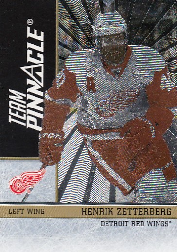 ZETTERBERG Henrik LUCIC Milan Zenith 2010/2011 Team Pinnacle č. 8