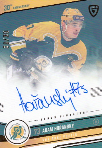HOŘANSKÝ Adam GOAL cards 2024/2025 Vsetín 30 č. 17 Signature /30