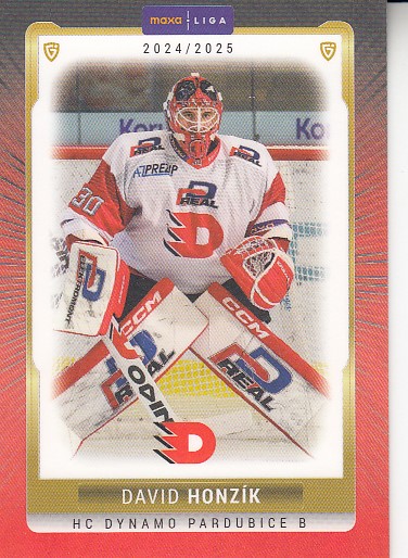 HONZÍK David GOAL cards 2024/2025 č. PCE-01 Parallel /15