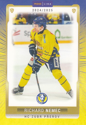 NEMEC Richard GOAL cards 2024/2025 č. PRE-18 Parallel /15