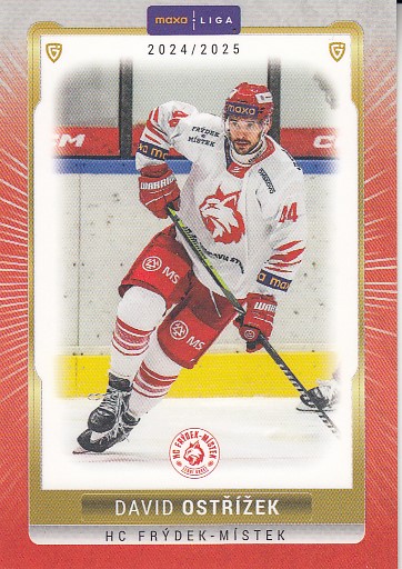 OSTŘÍŽEK David GOAL cards 2024/2025 č. FMI-19 Parallel /15