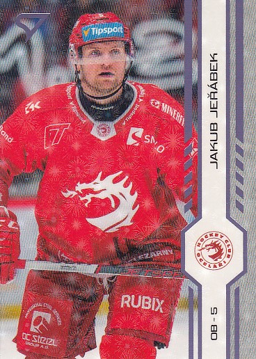 JEŘÁBEK Jakub SPORTZOO 2024/2025 č. 254 Puck Marks
