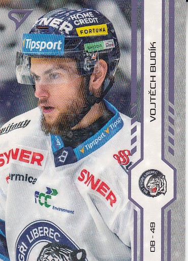 BUDÍK Vojtěch SPORTZOO 2024/2025 č. 303 Puck Marks