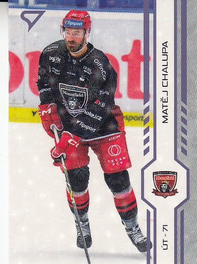 CHALUPA Matěj SPORTZOO 2024/2025 č. 313 Puck Marks