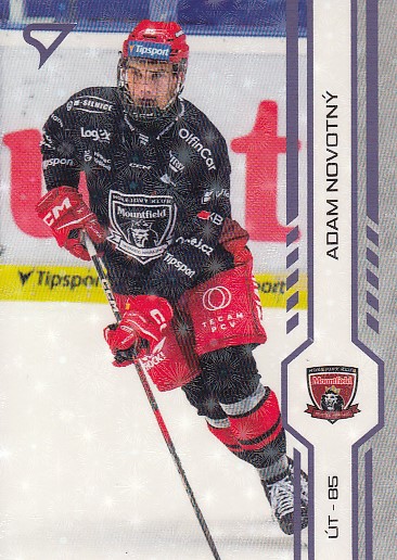 NOVOTNÝ Adam SPORTZOO 2024/2025 č. 315 Puck Marks
