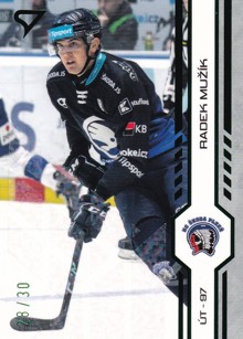 MUŽÍK Radek SPORTZOO 2024/2025 č. 345 Green Glitter /30