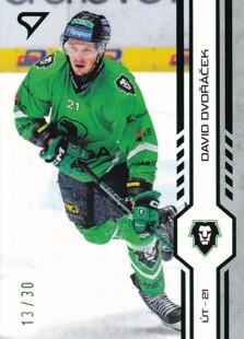 DVOŘÁČEK David SPORTZOO 2024/2025 č. 352 Green Glitter /30