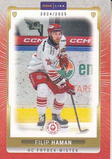 HAMAN Filip GOAL cards 2024/2025 č. FMI-03 CANVAS /40