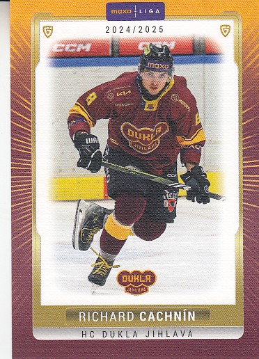 CACHNÍN Radek GOAL cards 2024/2025 č. JIH-10 CANVAS /40