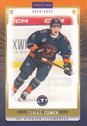 TOMEK Tomáš GOAL cards 2024/2025 č. LIT-09 CANVAS /40