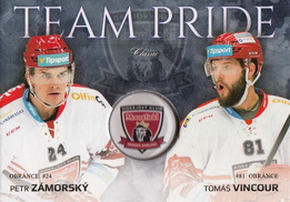 ZÁMORSKÝ VINCOUR OFS Classic 2018/2019 Team Pride TP-4 /70