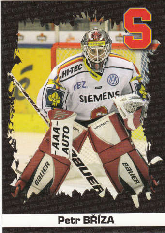BŘÍZA Petr OFS 2006/2007 Úspěšnost zásahů U13