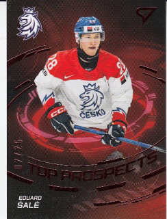 ŠALÉ Eduard SportZoo Hokejové Česko 2024 Top Prospects TP-8 Limited /25