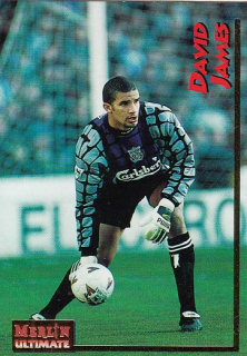 JAMES David Merlin Ultimate 1995/1996 č. 100