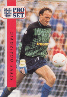 OGRIZOVIC Steve Pro Set 1990/1991 č. 40