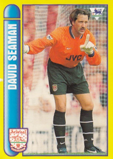 SEAMAN David Merlin Premier league Sticker 1998 č. 24