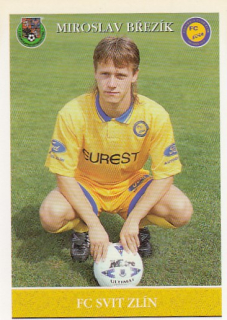 BŘEZÍK Miroslav PAPYRO 1995/1996 č. 231