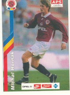 HORŇÁK Michal APS 1995/1996 č. 2