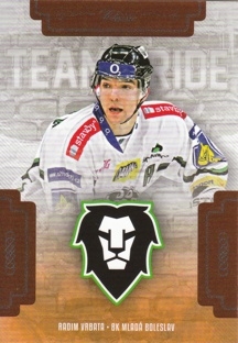 VRBATA Radim OFS Classic 2019/2020 Team Pride TP-RVR