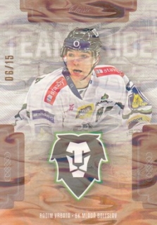 VRBATA Radim OFS Classic 2019/2020 Team Pride TP-RVR Ice Water /15