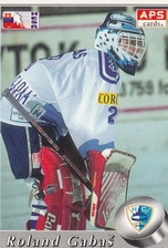 GABAŠ Roland SVK APS 1995/1996 č. 129