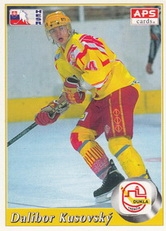 KUSOVSKÝ Dalibor SVK APS 1995/1996 č. 8