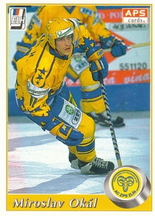 OKÁL Miroslav APS 1995/1996 č. 42