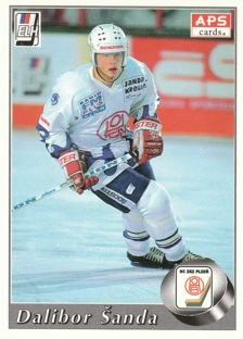 ŠANDA Dalibor APS 1995/1996 č. 265